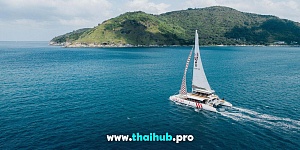 OCEAN VOYAGER 78 — Lobster — №31