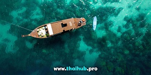 LONGTAIL 40 — Kiri Vari — №11