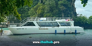 NARAYANA 64 — Blue Anda One — №7