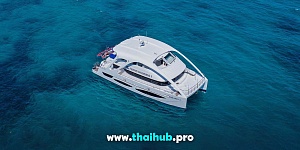 POWERCAT 72 — Dolphin-1 — №11