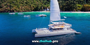 OCEAN VOYAGER 82 — Saffron Seas — №8