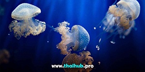 Экскурсии с животными  — Океанариум Aquaria — №32