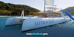 OCEAN VOYAGER 82 — Saffron Seas — №14