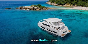 POWERCAT 72 — Dolphin-1 — №13