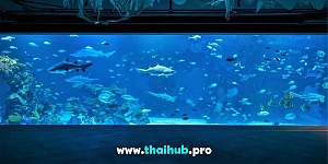 Экскурсии с животными  — Океанариум Aquaria — №38