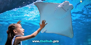 Экскурсии с животными  — Океанариум Aquaria — №49